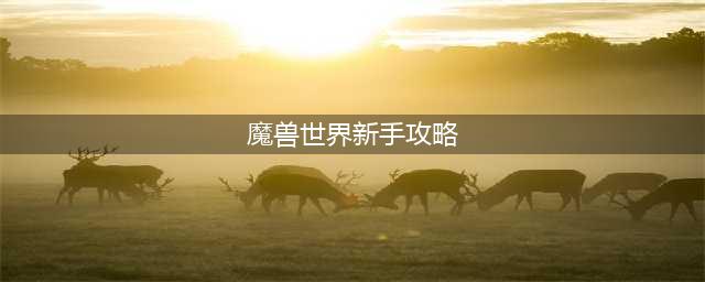 《魔兽世界》新手怎么玩 新手玩法攻略(魔兽世界新手攻略)