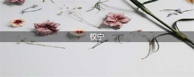 郑秀妍男友前任是阿娇？权宁一个人资料及感情史深扒(权宁)