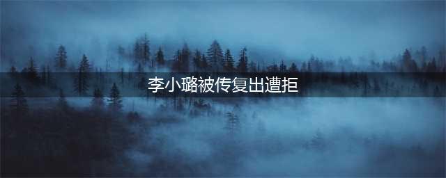 李小璐被传复出遭拒 李小璐如今处境为何如此尴尬(李小璐被传复出遭拒)