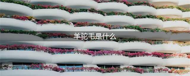 《牧场物语再会矿石镇》羊驼毛是什么 羊驼毛介绍(羊驼毛是什么)