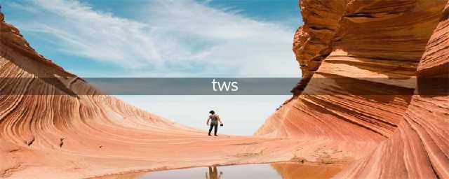 科普：TWS技术是个什么鬼?(tws)