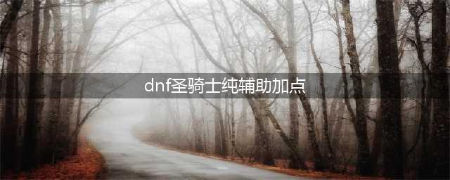 《DNF手游》韩服圣骑士技能加点攻略(dnf圣骑士纯辅助加点)