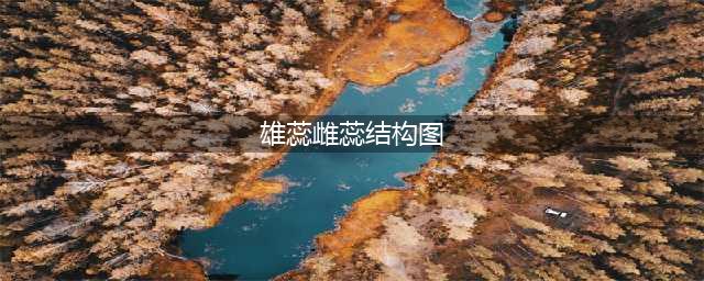 【生物课】花的结构(雄蕊雌蕊结构图)