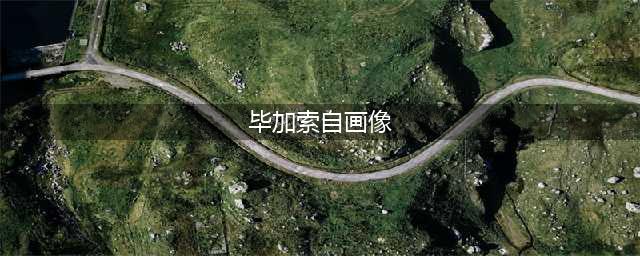 毕加索一生的12幅自画像，你看懂了几幅？(毕加索自画像)