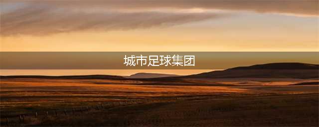 起底四川九牛背后金主！城市足球集团的足球帝国到底有多大！(城市足球集团)