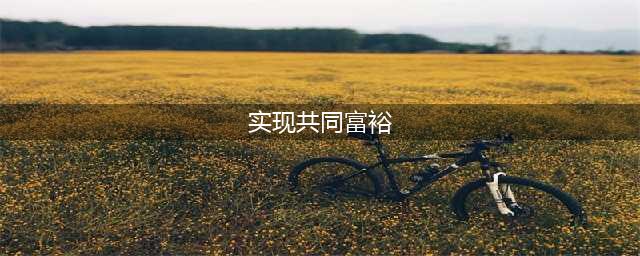 如何实现“共同富裕”？(实现共同富裕)