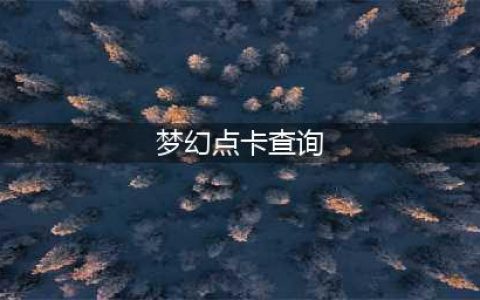 梦幻西游怎么查询点卡-点卡查询方法