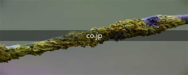 “  有没有人曾告诉你，什么是「CO.JP」？”(co.jp)
