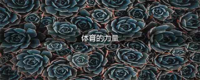 何谓体育的力量(体育的力量)