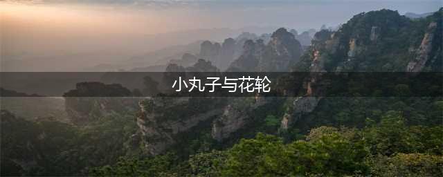 原来小丸子最后还是没有跟花轮在一起(小丸子与花轮)