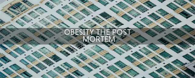 重口味【BBC】解剖肥胖 Obesity:The Post Mortem【中英双语字幕】对肥胖者的解剖全程(OBESITY THE POST MORTEM)
