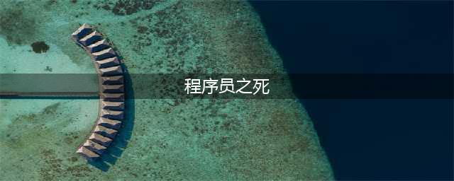《全网公敌》程序员之死怎么过 程序员之死通关步骤流程攻略(程序员之死)