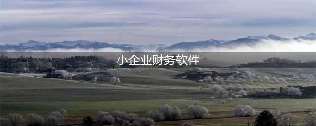 十大财务软件排名 最受小企业欢迎的十大财务软件排名(小企业财务软件)