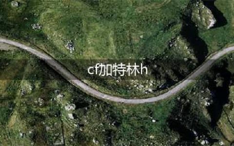 《CF》永久加特林H属性介绍 永久加特林H获得方法(cf加特林h)