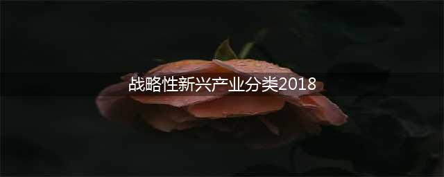 《战略性新兴产业分类（2018）》（国家统计局令第23号）(战略性新兴产业分类(2018))