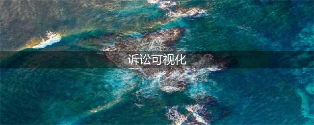 什么是“诉讼可视化”？(诉讼可视化)