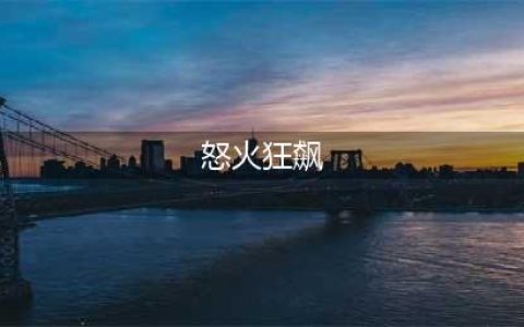 火炬之光无限逃脱者宾炮轰速刷流技能搭配