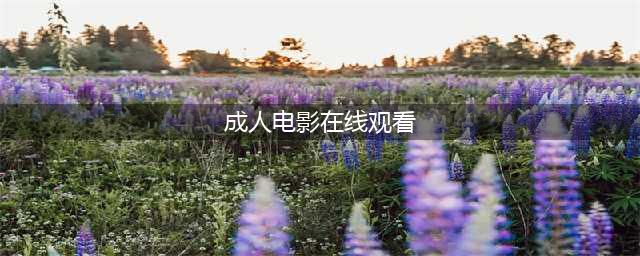 兔女郎在线开车，快来吹爆这9.3分「成人片」(成人电影在线观看)