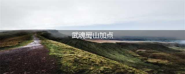 武魂2蜀山职业详解 武魂2蜀山怎么样(武魂蜀山加点)