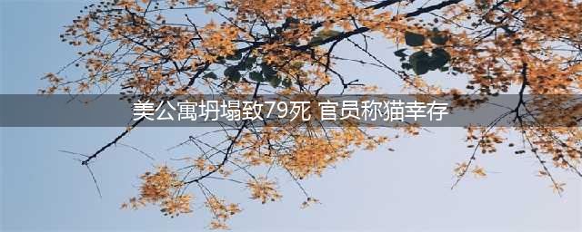 《猫咪公寓2》里美杰克主线攻略 里美杰克主线怎么过