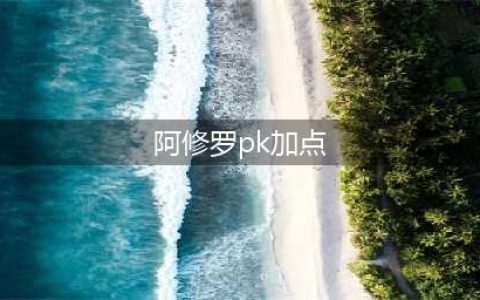 《DNF》100阿修罗怎么加点 100阿修罗加点方法(阿修罗pk加点)