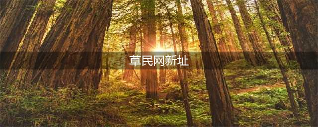 十大老司机必备的免费在线观影网站(草民网新址)