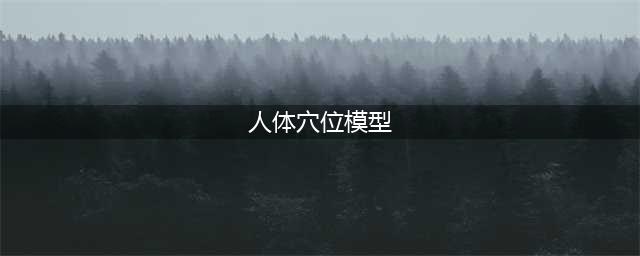 高清人体穴位图及穴位图解（值得果断收藏）(人体穴位模型)