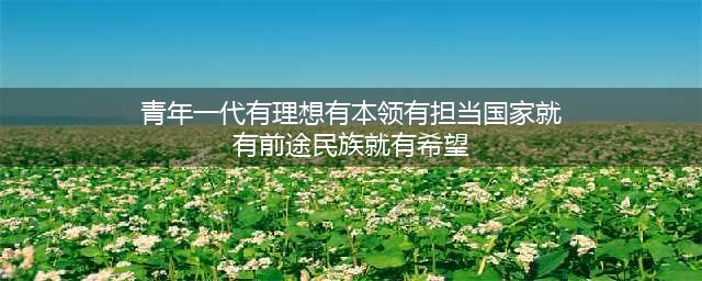 “青年一代有理想、有本领、有担当，国家就有前途，民族就有希望”(青年一代有理想有本领有担当国家就有前途民族就有希望)