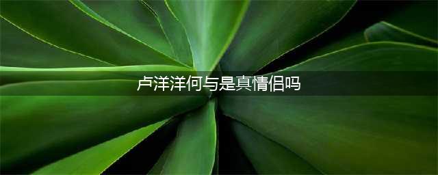 何与女朋友是谁？何与跟谁传过恋情是真是假(卢洋洋何与是真情侣吗)