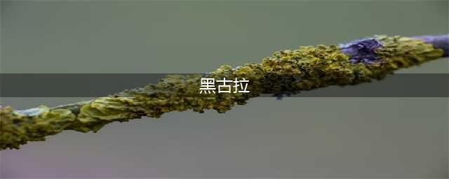 《奥比岛手游》黑古拉位置攻略