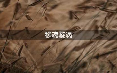 《魔兽世界》5大传奇物品盘点 你还记得哪几样(移魂漩涡)