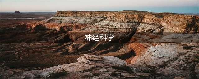 2024世界最佳神经科学院校排名公布，美藤校霸榜！(神经科学)