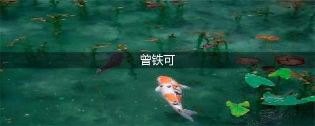 曾铁可因为辱骂国家工作人员遭节目封杀镜头全没了(曾铁可)