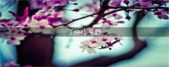 回顾傲慢的英国记者镜头中出丑，让我们想起14年前柴静采访丁仲礼(丁仲礼 柴静)
