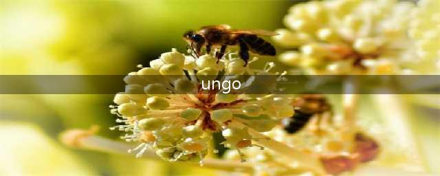 《只狼影逝二度》物品道具有什么用 全物品道具作用介绍(ungo)