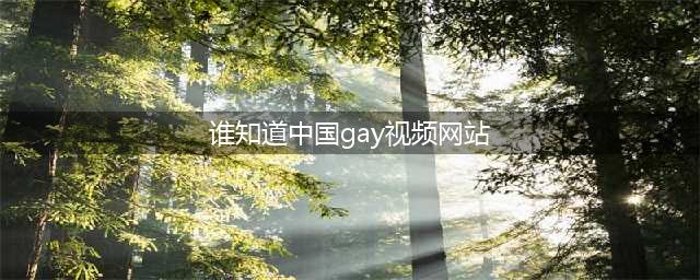 靠中国同志了解中国情况(谁知道中国gay视频网站)