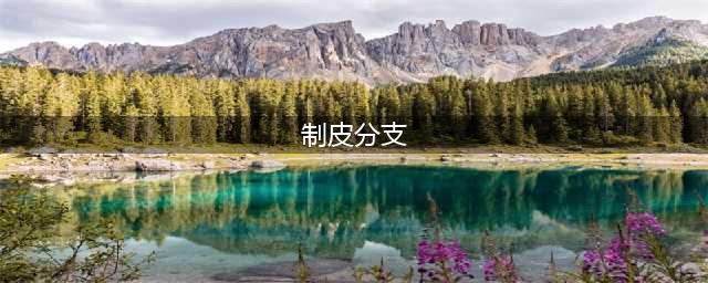 制皮三大分支图样介绍(制皮分支)