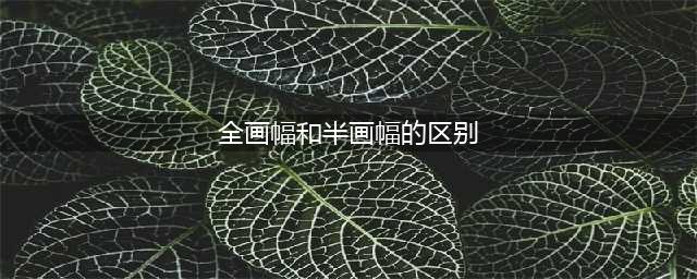 全画幅和半画幅有什么区别？半画幅真的拉胯吗？(全画幅和半画幅的区别)
