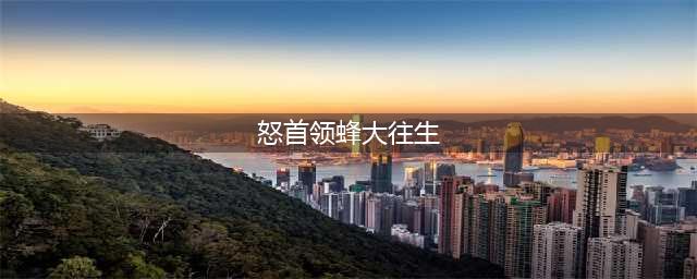 怒首领蜂大往生怎么调难度(怒首领蜂大往生)