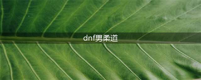 《DNF》2021男柔道技能怎么点 男柔道技能加点推荐(dnf男柔道)