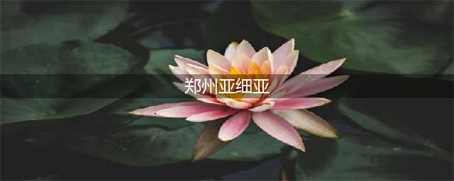 “中原之行哪里去，郑州亚细亚”能否再次唱响全国？(郑州亚细亚)