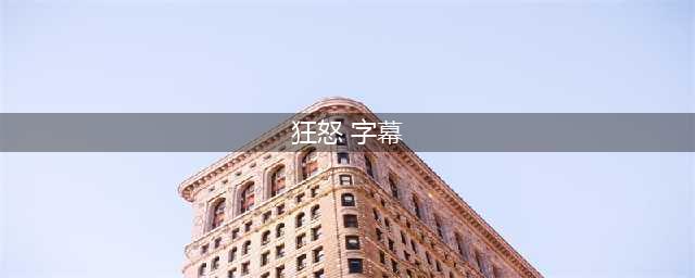 《狂怒2》怎么设置中文字幕 中文字幕设置办法分享