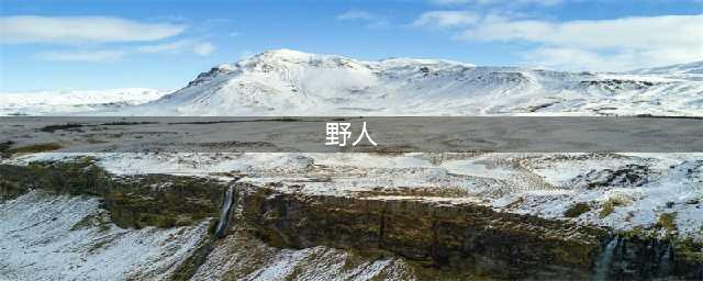 《森林》野人和变异体怎么打 野人和变异体介绍(野人)