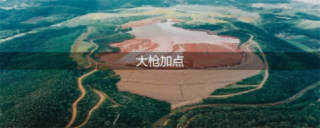 DNF110级男大枪怎么加点