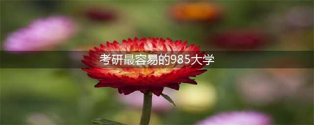 考研最容易的985大学?这些院校值得关注(考研最容易的985大学)
