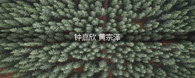 12年前被投诉的神剧，今天值得再安利一遍(钟嘉欣 黄宗泽)