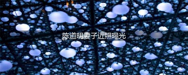 陈道明的64岁妻子近照曝光 两人幸福携手36年(陈道明妻子近照曝光)