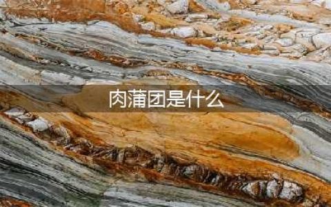 《肉蒲团》产自南京“芥子园”(肉蒲团是什么)