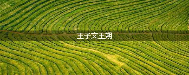 王子文与王朔的纠缠往事，和她“一直不能停”的恋爱史(王子文王朔)