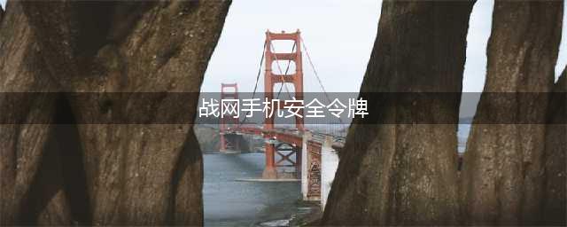 战网手机安全令(战网手机安全令牌)